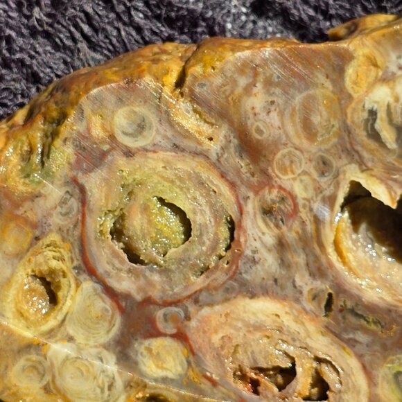 Small cutting of Orbicular Rhyolite - Picture 8 of 10